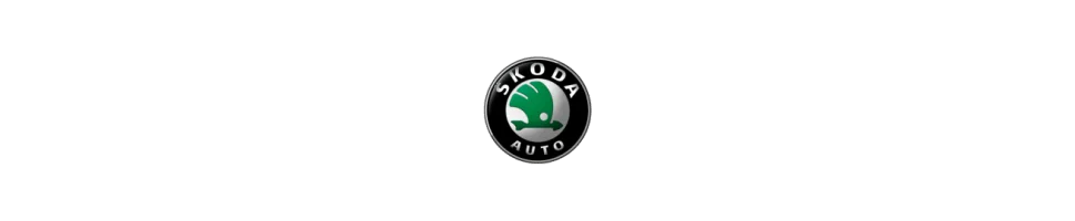 Kits d'admission direct et dynamique  SKODA