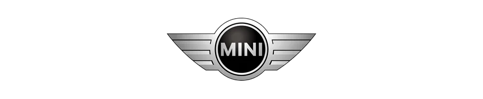 Kits d'admission direct et dynamique  MINI