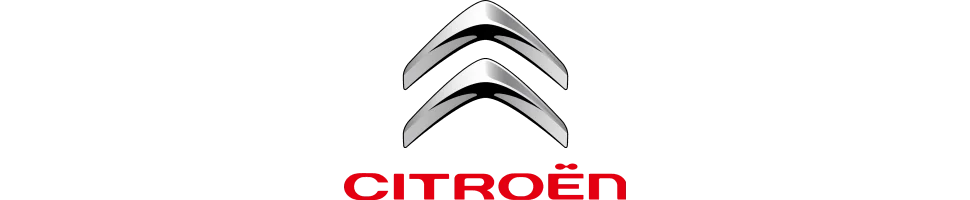 Combinés filetés Citroën