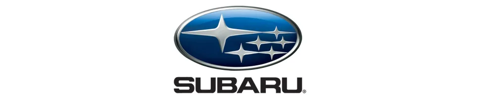 Arceaux / Roll Cage Subaru