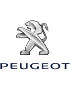 Silencieux et Lignes Peugeot