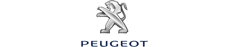 Silencieux et Lignes Peugeot