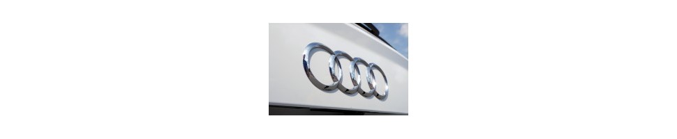 Amortisseurs Sport Audi A4 B6