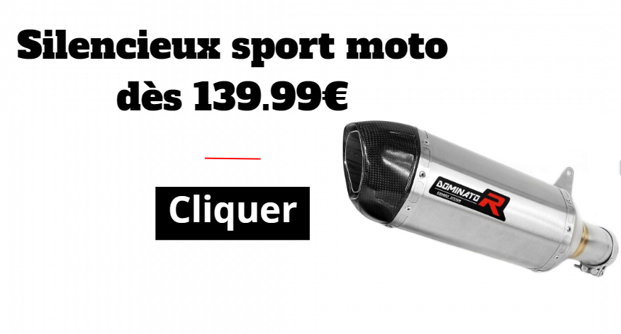 Silencieux sport dominator inox carbone titane homologué piste 